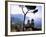 Villa Rufolo, Ravello, Amalfi Coast, Italy-Demetrio Carrasco-Framed Photographic Print