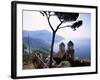 Villa Rufolo, Ravello, Amalfi Coast, Italy-Demetrio Carrasco-Framed Photographic Print