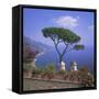 Villa Rufolo, Ravello, Costiera Amalfitana (Amalfi Coast), Campania, Italy-Roy Rainford-Framed Stretched Canvas