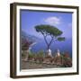 Villa Rufolo, Ravello, Costiera Amalfitana (Amalfi Coast), Campania, Italy-Roy Rainford-Framed Photographic Print