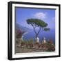 Villa Rufolo, Ravello, Costiera Amalfitana (Amalfi Coast), Campania, Italy-Roy Rainford-Framed Photographic Print