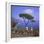 Villa Rufolo, Ravello, Costiera Amalfitana (Amalfi Coast), Campania, Italy-Roy Rainford-Framed Photographic Print