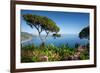 Villa Rufolo, Ravello, Costiera Amalfitana (Amalfi Coast), UNESCO World Heritage Site, Campania-Frank Fell-Framed Photographic Print