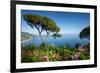 Villa Rufolo, Ravello, Costiera Amalfitana (Amalfi Coast), UNESCO World Heritage Site, Campania-Frank Fell-Framed Photographic Print