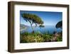 Villa Rufolo, Ravello, Costiera Amalfitana (Amalfi Coast), UNESCO World Heritage Site, Campania-Frank Fell-Framed Photographic Print