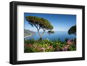 Villa Rufolo, Ravello, Costiera Amalfitana (Amalfi Coast), UNESCO World Heritage Site, Campania-Frank Fell-Framed Photographic Print