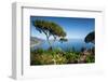 Villa Rufolo, Ravello, Costiera Amalfitana (Amalfi Coast), UNESCO World Heritage Site, Campania-Frank Fell-Framed Photographic Print