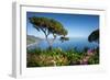 Villa Rufolo, Ravello, Costiera Amalfitana (Amalfi Coast), UNESCO World Heritage Site, Campania-Frank Fell-Framed Photographic Print