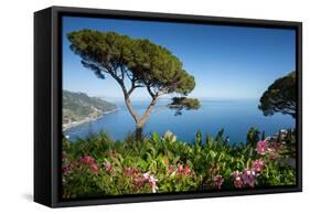 Villa Rufolo, Ravello, Costiera Amalfitana (Amalfi Coast), UNESCO World Heritage Site, Campania-Frank Fell-Framed Stretched Canvas