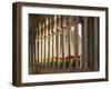 Villa Rufolo-Angelo Cavalli-Framed Photographic Print