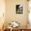 Villa Torrigiani, Camigliano Village, Lucca, Tuscany, Italy-Sheila Terry-Photographic Print displayed on a wall