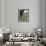 Villa Torrigiani, Camigliano Village, Lucca, Tuscany, Italy-Sheila Terry-Framed Photographic Print displayed on a wall