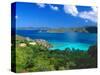 Villa with a View, Saint John, US Virgin Islands-George Oze-Stretched Canvas