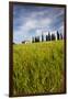 Villa with Wheat Fields, Cypress Trees, Poppies, Pienza, Tuscany, Italy-Terry Eggers-Framed Photographic Print