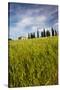 Villa with Wheat Fields, Cypress Trees, Poppies, Pienza, Tuscany, Italy-Terry Eggers-Stretched Canvas