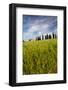 Villa with Wheat Fields, Cypress Trees, Poppies, Pienza, Tuscany, Italy-Terry Eggers-Framed Photographic Print