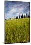 Villa with Wheat Fields, Cypress Trees, Poppies, Pienza, Tuscany, Italy-Terry Eggers-Mounted Photographic Print