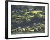 Village along Sogne Fjord, Norway-Russell Young-Framed Photographic Print