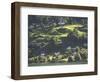 Village along Sogne Fjord, Norway-Russell Young-Framed Photographic Print