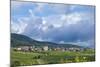 Village Amongst Vineyards in the Pfalz Area, Germany, Europe-James Emmerson-Mounted Photographic Print