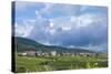 Village Amongst Vineyards in the Pfalz Area, Germany, Europe-James Emmerson-Stretched Canvas