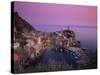 Village and Harbour at Dusk, Vernazza, Cinque Terre, Liguria, Italy, Mediterranean-Patrick Dieudonne-Stretched Canvas