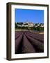 Village and Lavender Fields, Puimosson, Provence, France-Steve Vidler-Framed Photographic Print