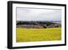 Village at St. Andrews-Stephen Szurlej-Framed Premium Photographic Print