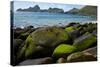 Village Bay Coast, St. Kilda, Outer Hebrides, Scotland, UK, June 2009-Muñoz-Stretched Canvas