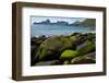 Village Bay Coast, St. Kilda, Outer Hebrides, Scotland, UK, June 2009-Muñoz-Framed Photographic Print