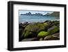 Village Bay Coast, St. Kilda, Outer Hebrides, Scotland, UK, June 2009-Muñoz-Framed Photographic Print