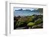 Village Bay Coast, St. Kilda, Outer Hebrides, Scotland, UK, June 2009-Muñoz-Framed Photographic Print