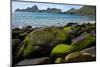 Village Bay Coast, St. Kilda, Outer Hebrides, Scotland, UK, June 2009-Muñoz-Mounted Photographic Print