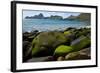 Village Bay Coast, St. Kilda, Outer Hebrides, Scotland, UK, June 2009-Muñoz-Framed Photographic Print