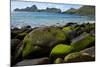 Village Bay Coast, St. Kilda, Outer Hebrides, Scotland, UK, June 2009-Muñoz-Mounted Photographic Print