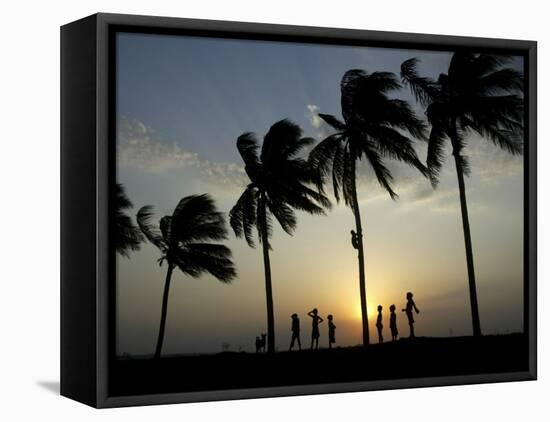 Village Boy Climbs a Coconut Tree as Others Wait Below on the Outskirts of Bhubaneshwar, India-null-Framed Stretched Canvas