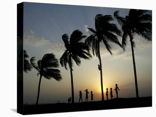 Village Boy Climbs a Coconut Tree as Others Wait Below on the Outskirts of Bhubaneshwar, India-null-Stretched Canvas