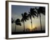 Village Boy Climbs a Coconut Tree as Others Wait Below on the Outskirts of Bhubaneshwar, India-null-Framed Photographic Print