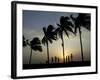 Village Boy Climbs a Coconut Tree as Others Wait Below on the Outskirts of Bhubaneshwar, India-null-Framed Photographic Print