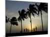 Village Boy Climbs a Coconut Tree as Others Wait Below on the Outskirts of Bhubaneshwar, India-null-Mounted Photographic Print