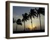 Village Boy Climbs a Coconut Tree as Others Wait Below on the Outskirts of Bhubaneshwar, India-null-Framed Photographic Print