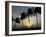 Village Boy Climbs a Coconut Tree as Others Wait Below on the Outskirts of Bhubaneshwar, India-null-Framed Photographic Print