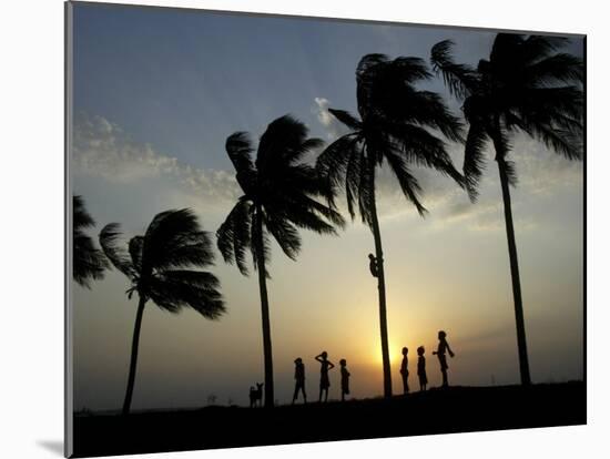 Village Boy Climbs a Coconut Tree as Others Wait Below on the Outskirts of Bhubaneshwar, India-null-Mounted Photographic Print