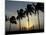 Village Boy Climbs a Coconut Tree as Others Wait Below on the Outskirts of Bhubaneshwar, India-null-Mounted Photographic Print