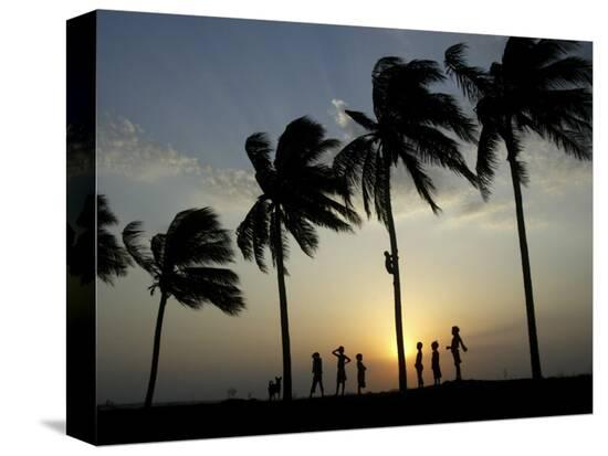 Stretched Canvas Print, , large