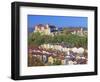 Village Burghausen, Germany-Walter Geiersperger-Framed Photographic Print