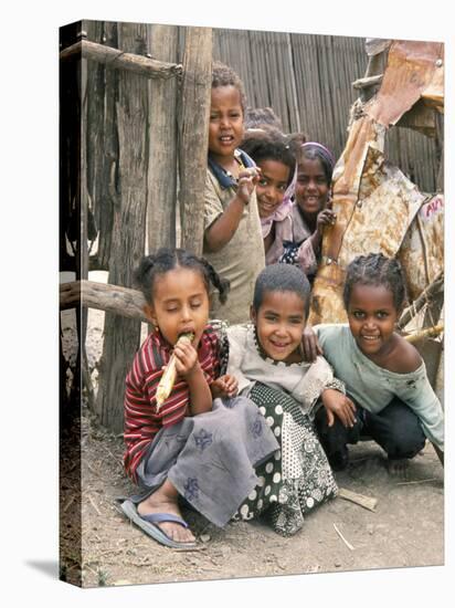 Village Children in Bati, Northern Highlands, Ethiopia, Africa-Tony Waltham-Stretched Canvas