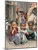 Village Children in Bati, Northern Highlands, Ethiopia, Africa-Tony Waltham-Mounted Photographic Print