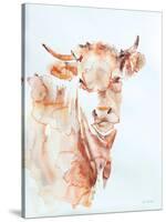 Village Cow-Aimee Del Valle-Stretched Canvas