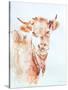 Village Cow-Aimee Del Valle-Stretched Canvas